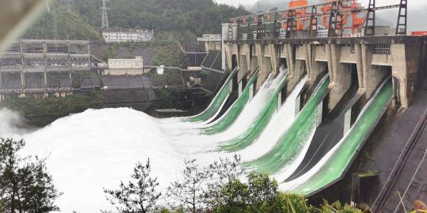 飞腾信息科技流量卡(飞腾信息科技流量卡是真的吗) 飞腾信息科技流量卡(飞腾信息科技流量卡是真的吗)