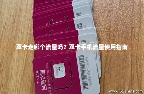 双卡怎么设置只用一个卡的流量（双卡怎么设置流量用哪个卡）