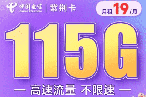 电信200m流量卡副卡（电信副卡20g流量）