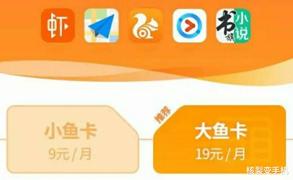 阿里大鱼卡乱扣流量（大鱼卡转阿里宝卡）