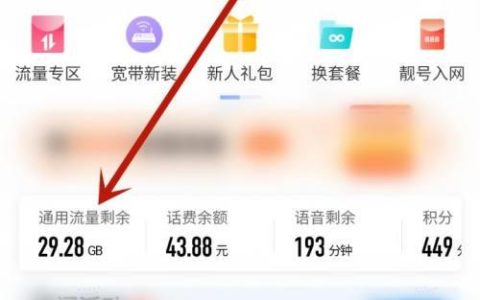 移动app专属流量怎样使用（移动app专属流量是指什么）