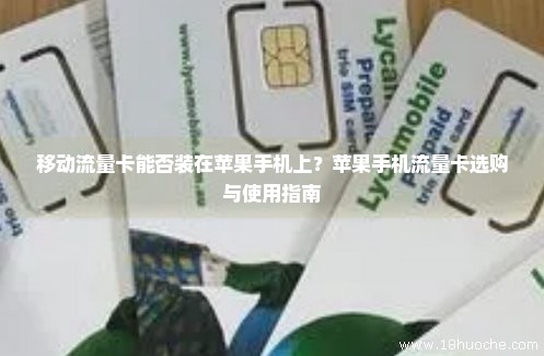 苹果如何选择流量使用卡（苹果怎么设置流量用哪个卡）