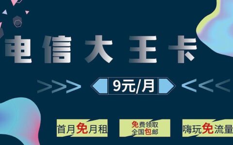 中国电信流量王卡可以吗（电信可以用大王卡吗）