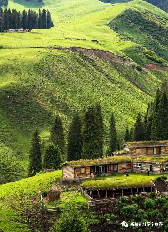 伊犁霍城流量卡(伊犁霍城流量卡办理地点) 伊犁霍城流量卡(伊犁霍城流量卡办理地点)