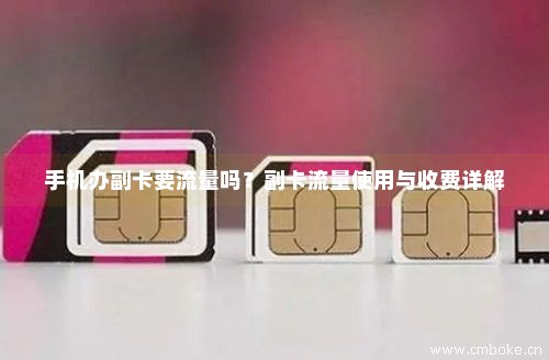 副卡怎么领取流量免费(副卡怎么办理流量套餐) 副卡怎么领取流量免费(副卡怎么办理流量套餐)