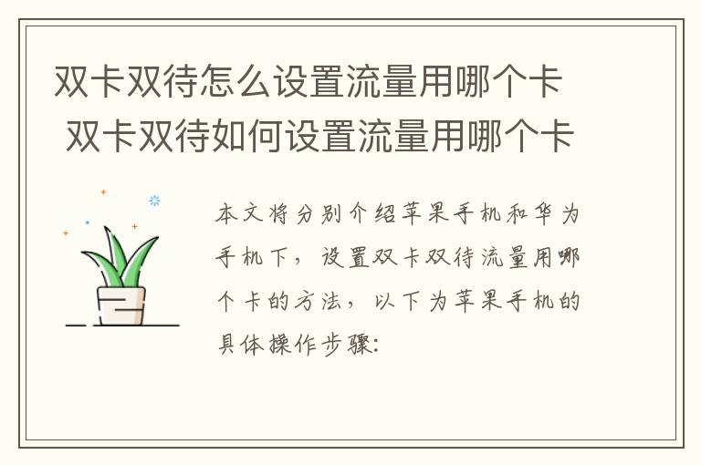 双卡都有流量（双卡都有流量限制吗）