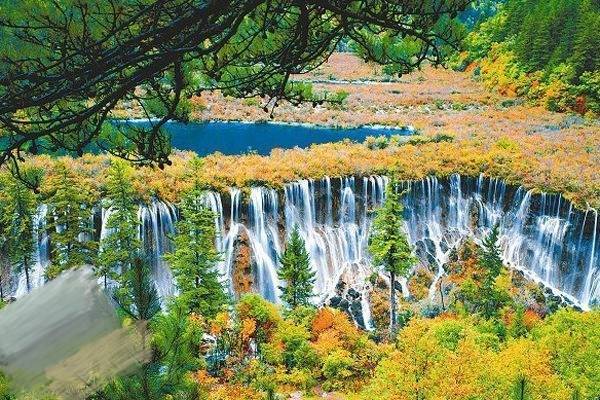 越南流量卡怎么换套餐（越南流量卡怎么换套餐的）