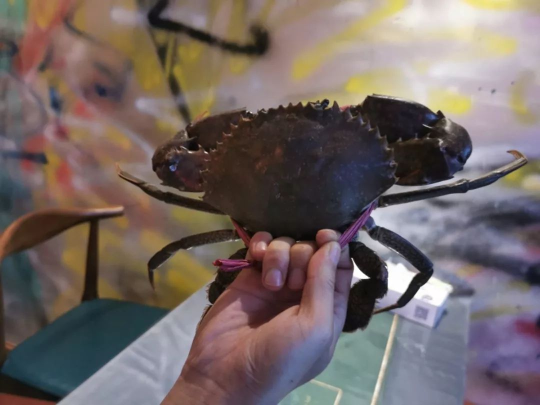 菲律宾卡怎么定流量（菲律宾卡怎么定流量套餐）