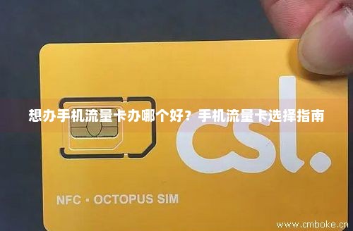 免费领手机卡流量卡（免费领取流量卡有什么风险）