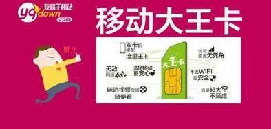 大王卡30元流量卡（大王卡加30元的流量包是公用的吗）