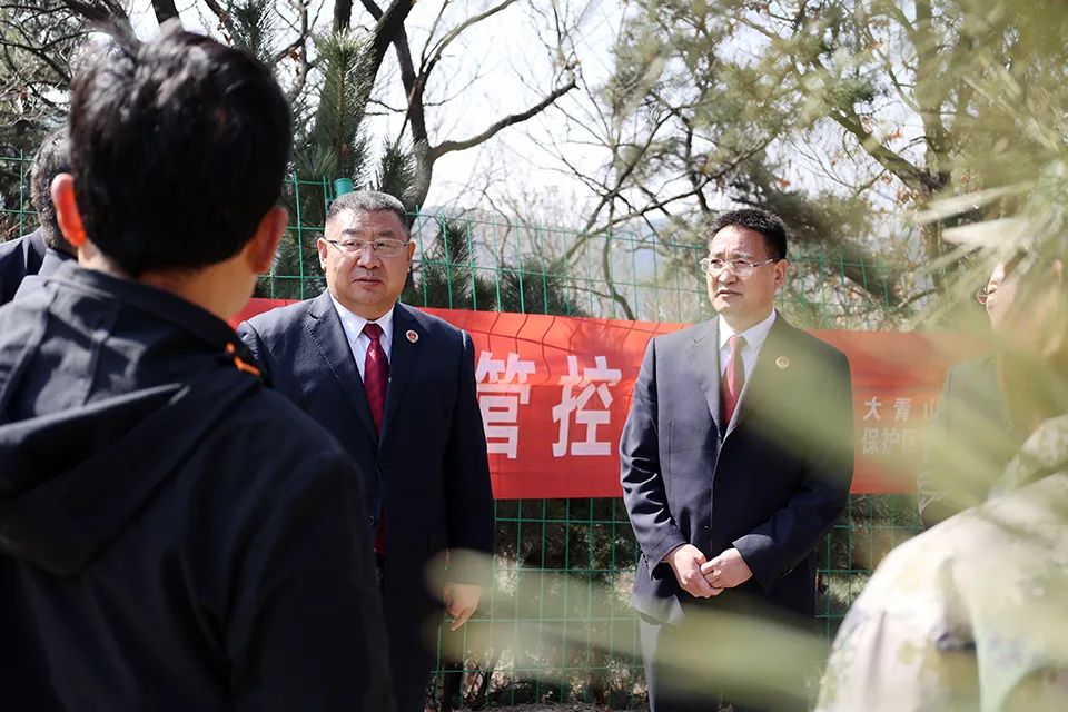 流量卡区域保护什么意思（流量卡区域限制）