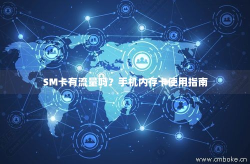 sim卡使用数据流量（sim卡数据流量是什么意思）