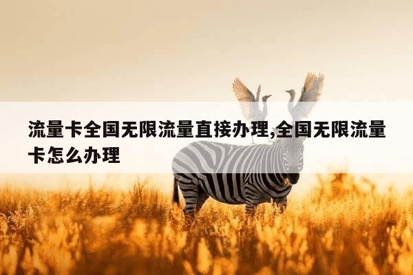 宁夏无限流量卡（银川无限流量卡）