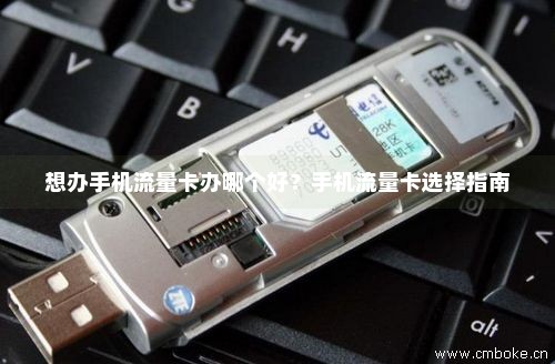 流量卡能去哪里办（流量卡去哪里办合适）