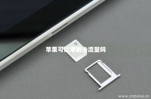 默认流量卡是电信卡吗苹果（苹果纯流量卡上网设置）