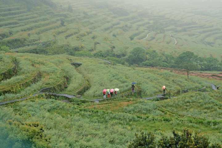 怎么查卡的定向流量软件(怎么查卡的定向流量软件密码) 怎么查卡的定向流量软件(怎么查卡的定向流量软件密码)