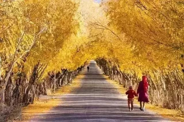 新疆不限量流量卡(新疆流量卡用哪个划算) 新疆不限量流量卡(新疆流量卡用哪个划算)