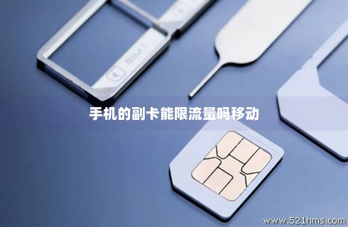 怎样关闭副卡的移动数据流量（如何关掉副卡的流量限制）