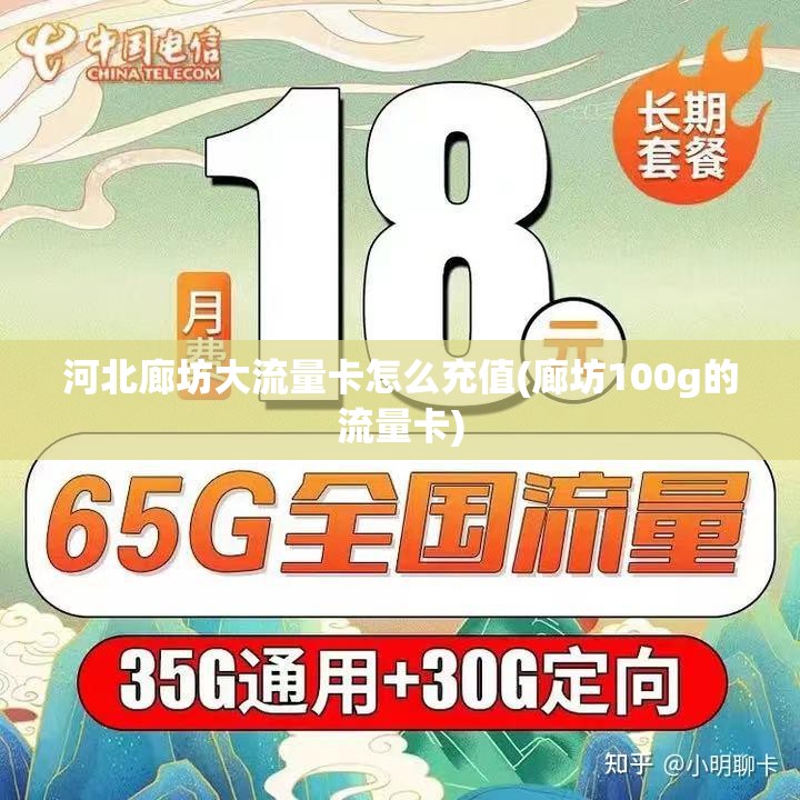 流量卡怎么选廊坊卡套餐(河北省内移动流量卡) 流量卡怎么选廊坊卡套餐(河北省内移动流量卡)