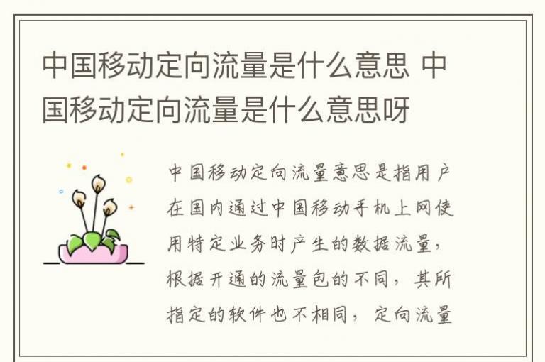 移动定制流量包括什么(移动定型流量包括) 移动定制流量包括什么(移动定型流量包括)