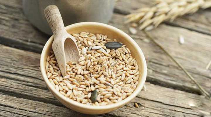 流量卡老人5元套餐(老人流量卡哪个最划算) 流量卡老人5元套餐(老人流量卡哪个最划算)