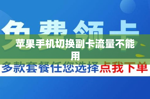 苹果13怎么换流量卡视频（苹果13怎么切换主副卡流量）