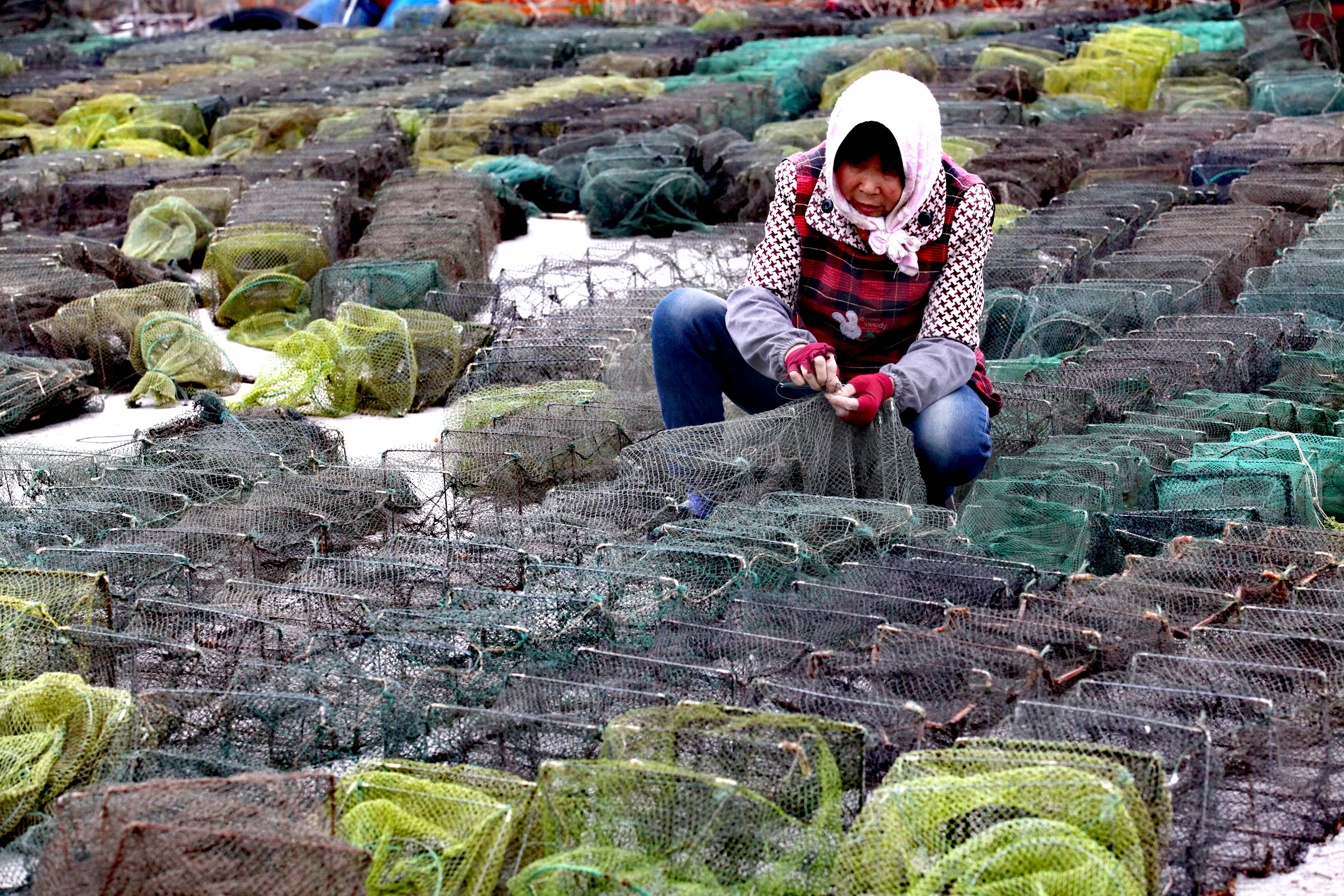 联通龙腾流量卡充值平台(龙腾通信流量卡) 联通龙腾流量卡充值平台(龙腾通信流量卡)