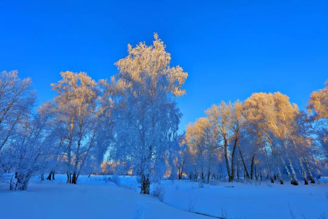 新疆移动卡免费领流量吗(新疆移动卡流量包) 新疆移动卡免费领流量吗(新疆移动卡流量包)