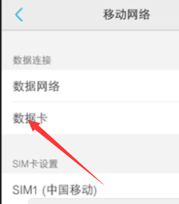 2个卡怎么设置用其中一个卡流量（2个卡怎么设置用其中一个卡流量荣耀）