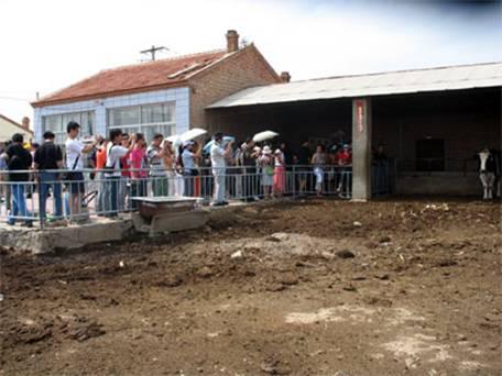 联通流量奶牛卡(联通奶牛卡102g) 联通流量奶牛卡(联通奶牛卡102g)