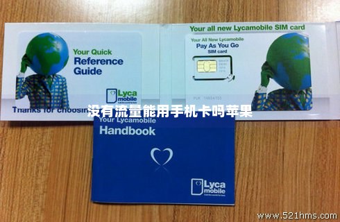 苹果插上卡流量不能用(苹果插上卡流量不能用怎么回事) 苹果插上卡流量不能用(苹果插上卡流量不能用怎么回事)