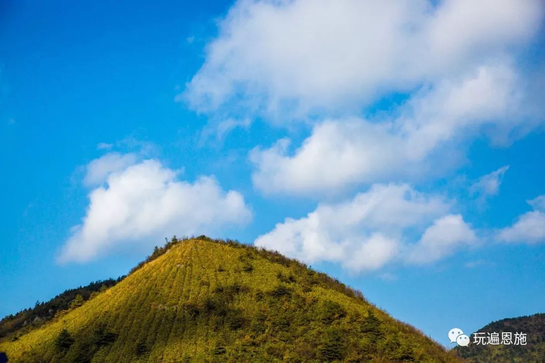 利川智能硬件流量卡（智能科技服务系统流量卡）