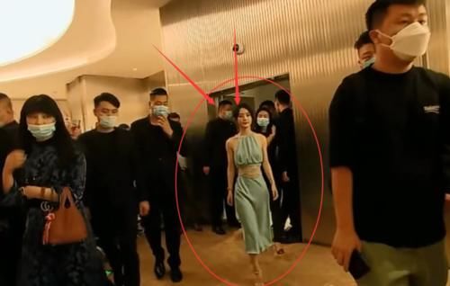 为什么流量一下子卡了（为什么流量变卡了）