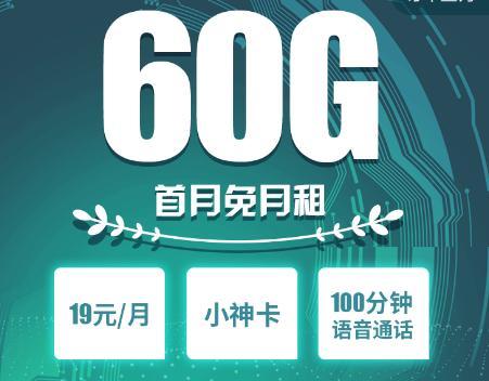 电信小神卡纯流量卡SE（电信小神卡19元100g）