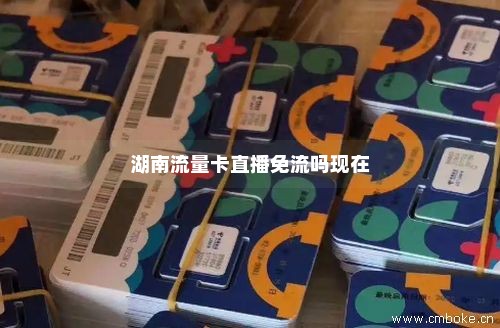 湖南流量卡充值(湖南流量卡充值怎么充) 湖南流量卡充值(湖南流量卡充值怎么充)