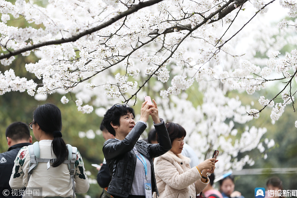 联通大王卡限额流量（联通大王卡抖音免流量吗）