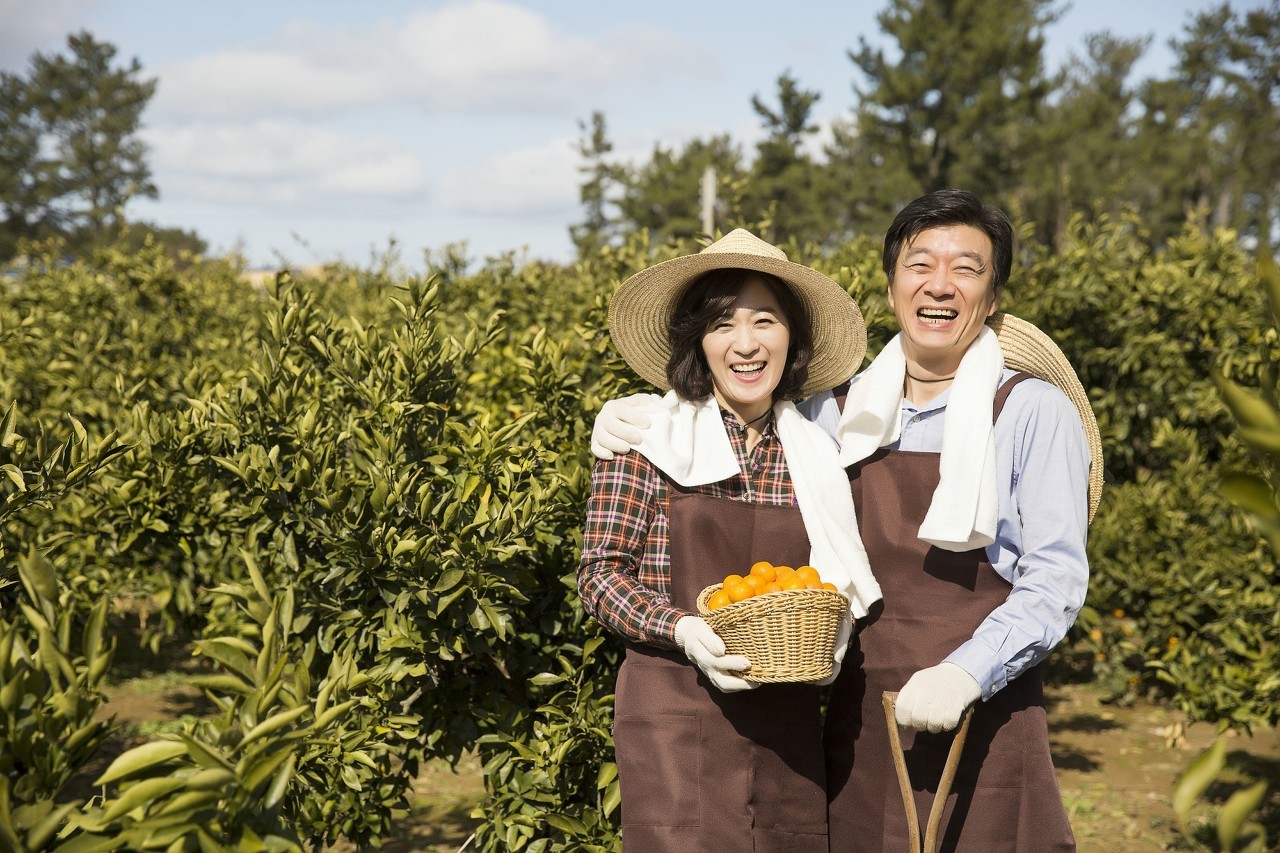 中国温州移动流量卡(中国温州移动流量卡怎么办理) 中国温州移动流量卡(中国温州移动流量卡怎么办理)