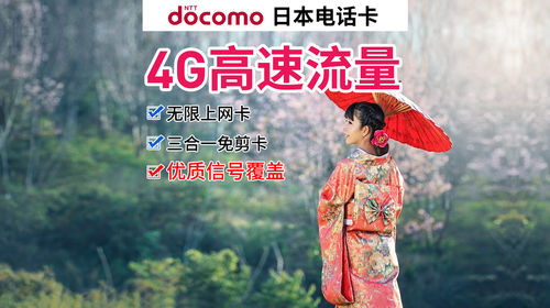 达摩流量包是什么意思（达摩网络怎么样）