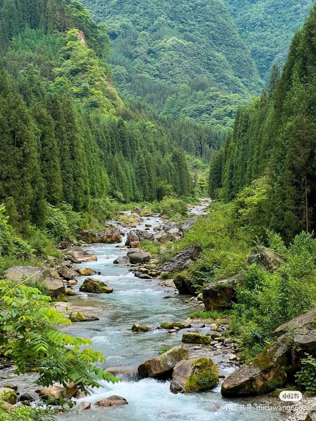 大王卡哪些免流量（大王卡哪些免流量小红书可以用）