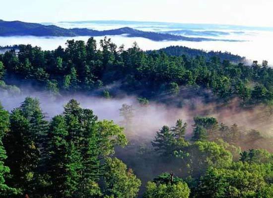 viettel流量卡怎么充值(流量卡 怎么充值) viettel流量卡怎么充值(流量卡 怎么充值)