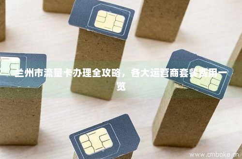 甘肃移动卡流量办理网点（甘肃移动卡流量办理网点地址）