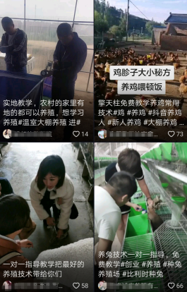 大王卡看快手扣流量（大王卡看快手为啥不免流）