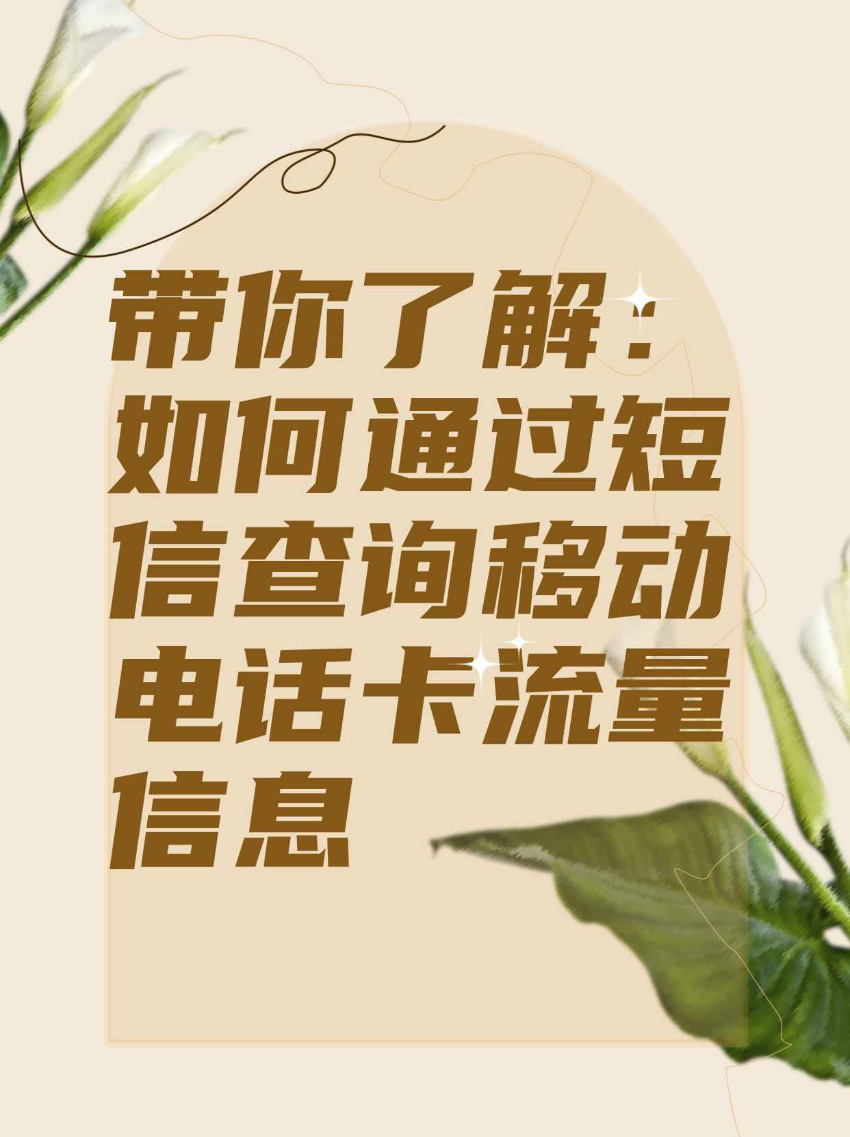 关于流量卡的信息（关于流量卡的信息怎么查）