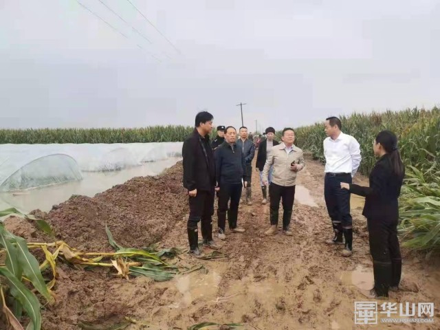 哪个通讯卡流量多（五八通讯流量卡坑不坑）