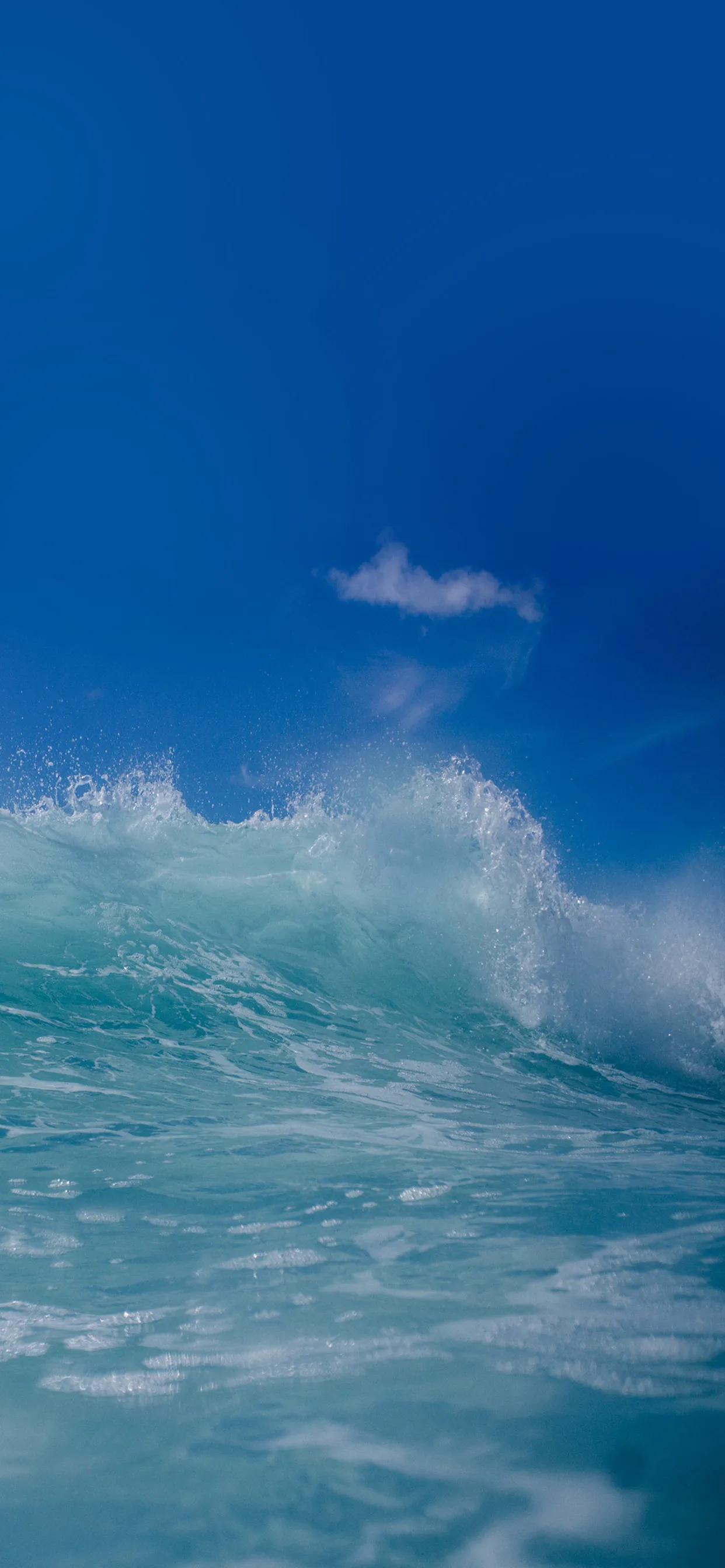 Iphone长度（苹果11长度几厘米）