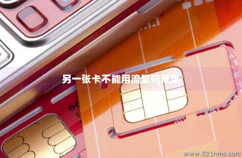 怎么禁用一张卡的流量（如何禁用一张卡）