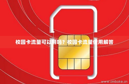 学校校园流量卡（学校校园流量卡好吗）