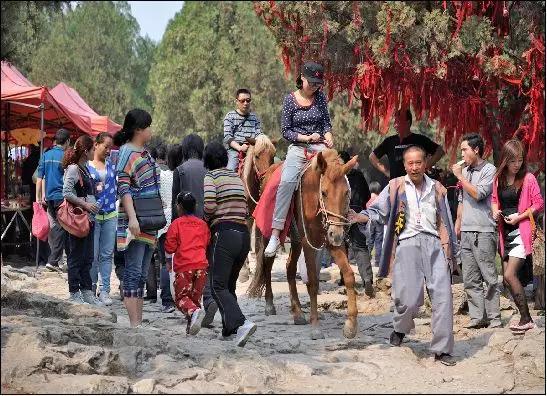 流量卡免费领取是真的吗(2020年流量卡免费领取) 流量卡免费领取是真的吗(2020年流量卡免费领取)