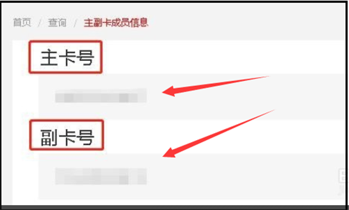 如何知道哪个是主卡副卡(怎样知道哪个是主卡哪个是副卡) 如何知道哪个是主卡副卡(怎样知道哪个是主卡哪个是副卡)
