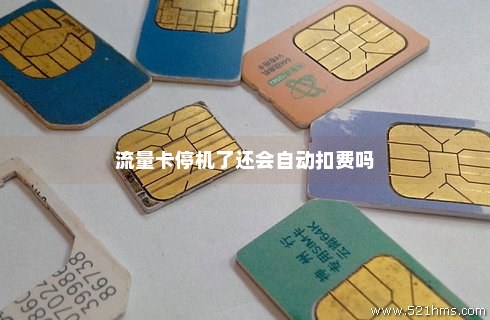 纯流量卡停机后咋恢复(纯流量卡停机后咋恢复使用) 纯流量卡停机后咋恢复(纯流量卡停机后咋恢复使用)